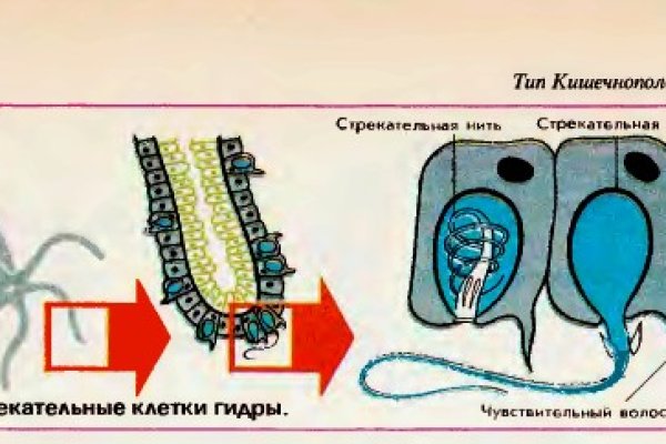 Кракен не работает тор